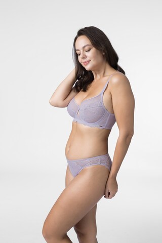 Dorina Slip 'SEDAN ' in Purple