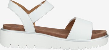 ARA Sandals in White