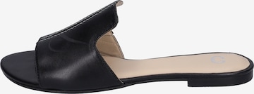 GERRY WEBER Mules 'Gadera' in Black: front