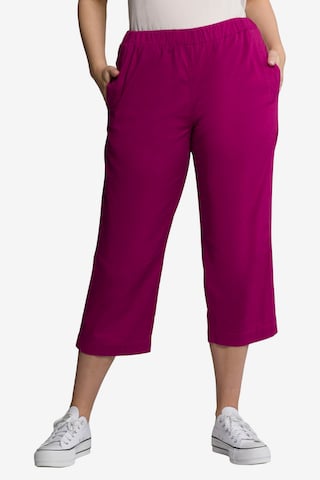 Ulla Popken Regular Pants 'Ruby' in Purple: front