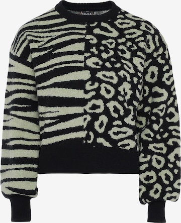 juoda FENIA Megztinis: priekis