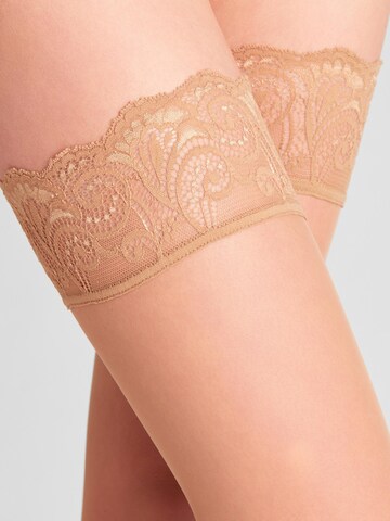 FALKE Feinstrümpfe 'Matt Deluxe'‌‌‌‌‌‌‌‌‌ in Pink