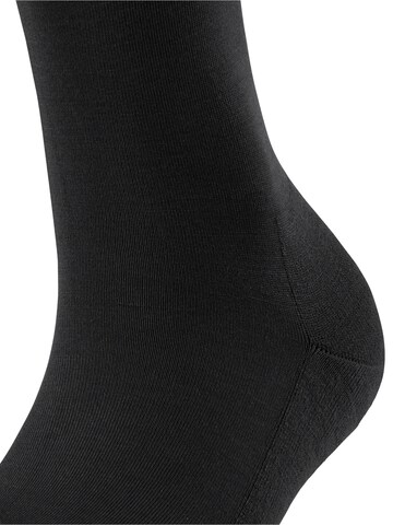 FALKE Knee High Socks 'ClimaWool' in Black