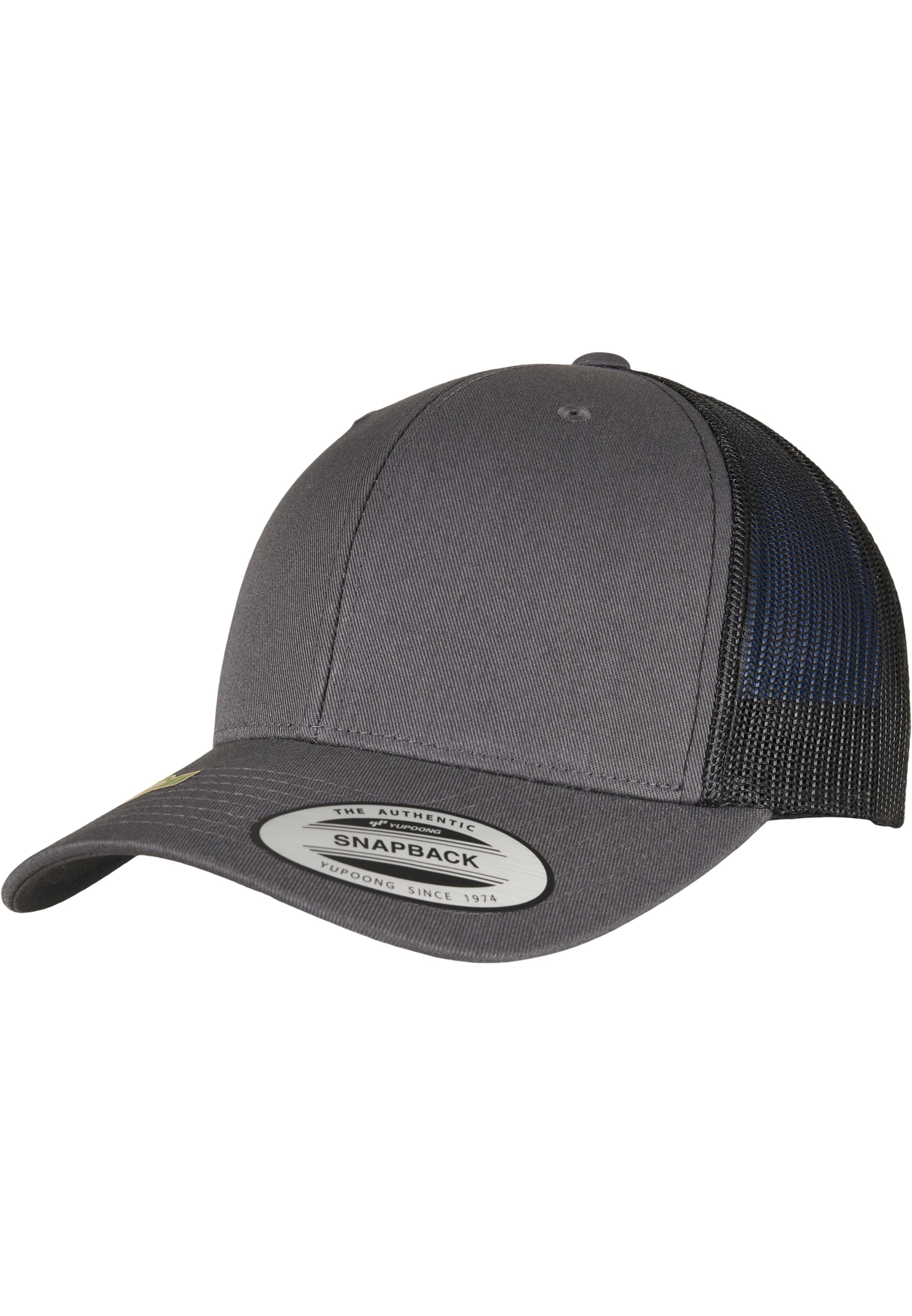 Flexfit Cap in Grey: front