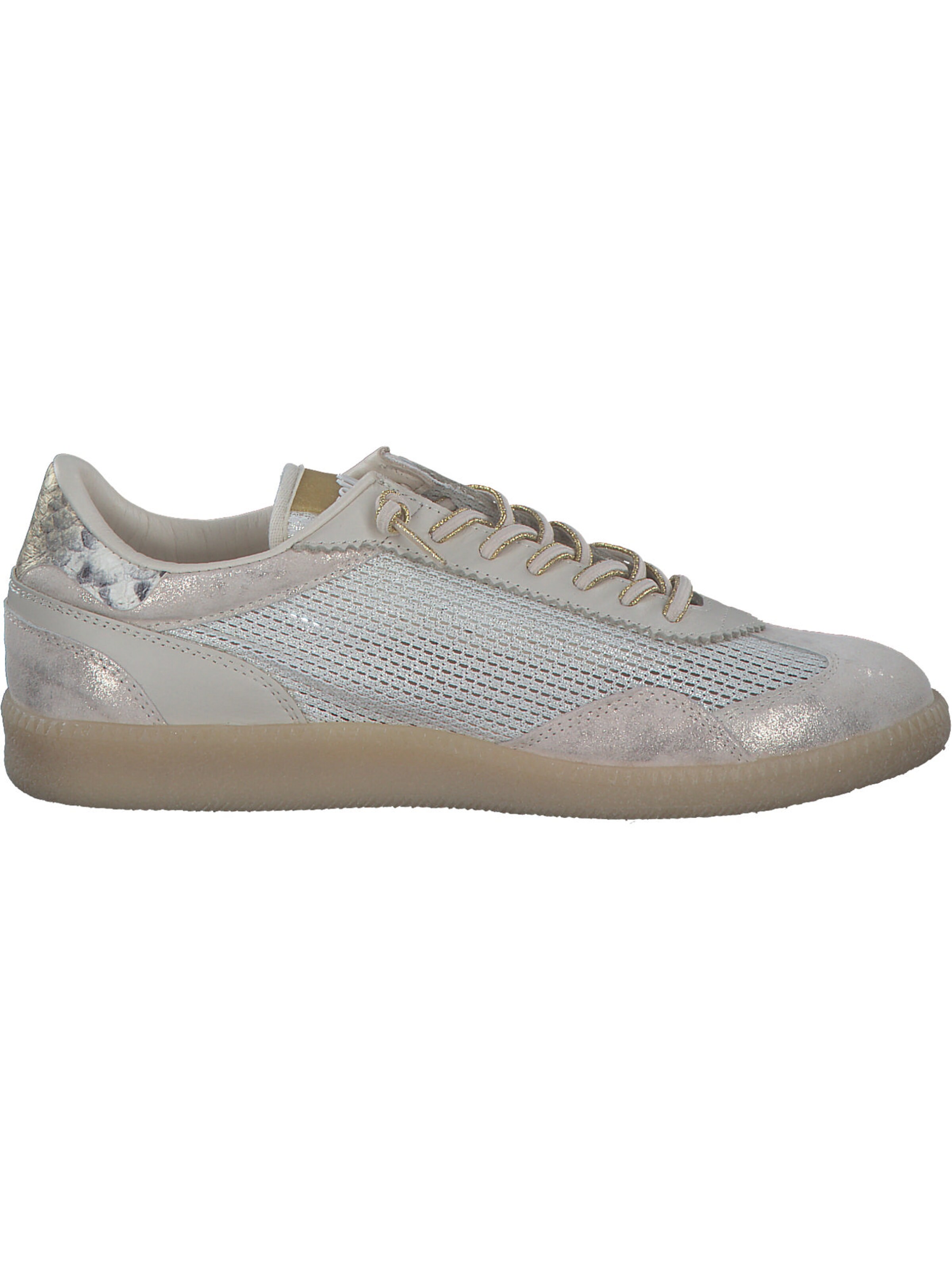 Cetti Sneaker in Beige