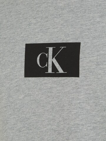 Calvin Klein Underwear Sweatshirt in Grau