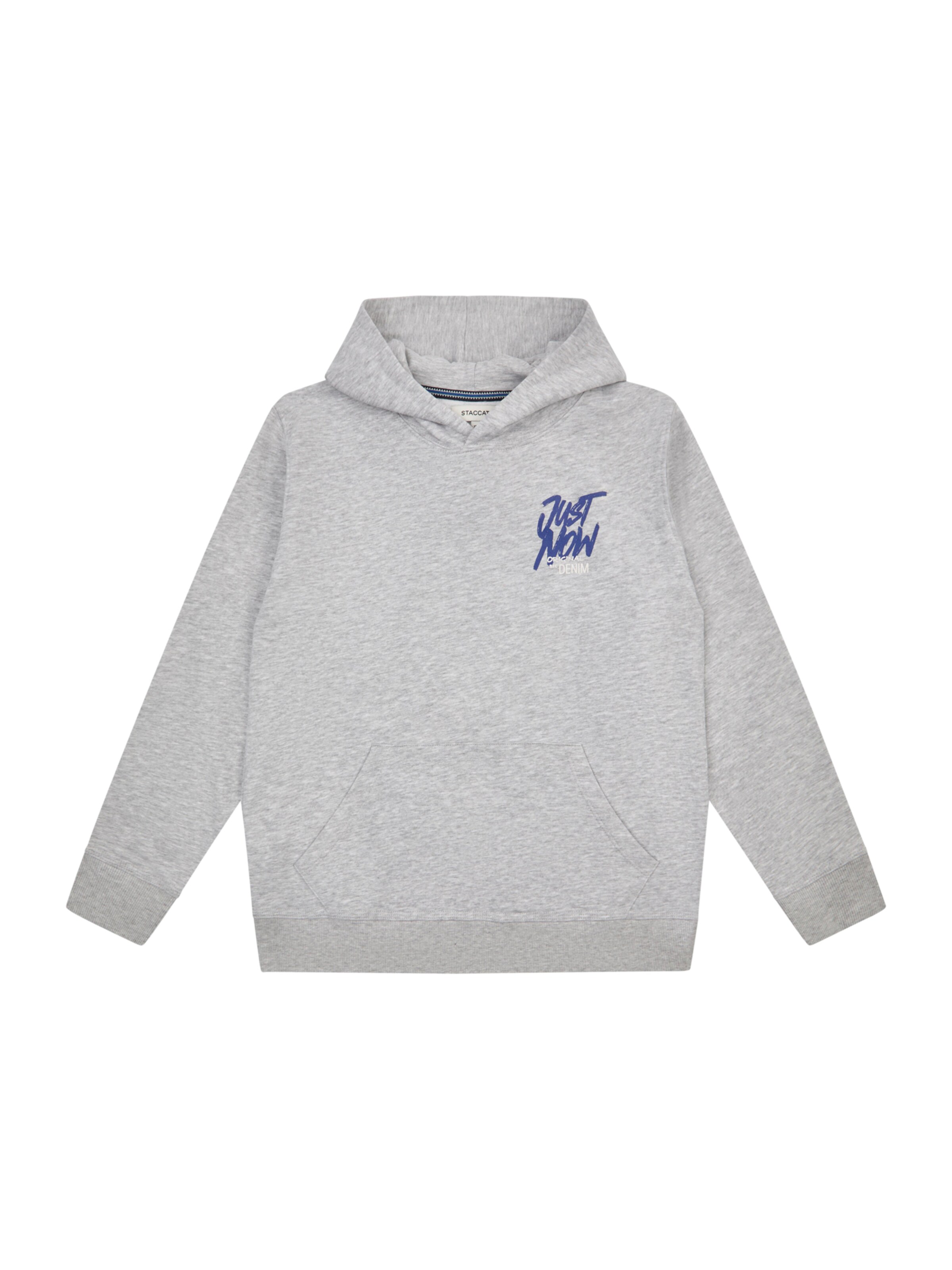 STACCATO Collegepaita värissä harmaa: etupuoli