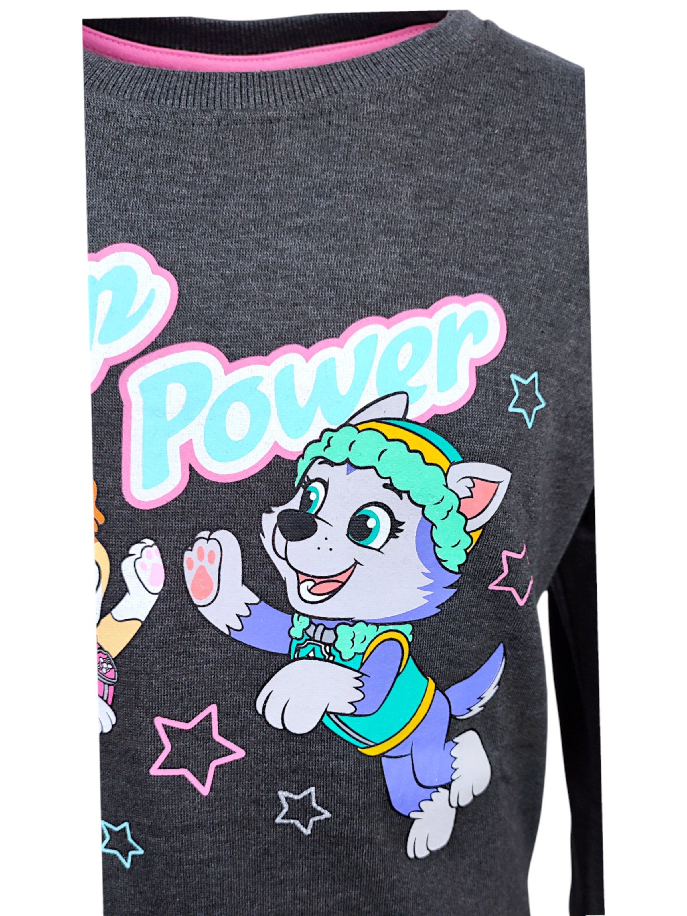 Paw Patrol Sweatshirt 'Skye'‌‌‌‌ in Grau