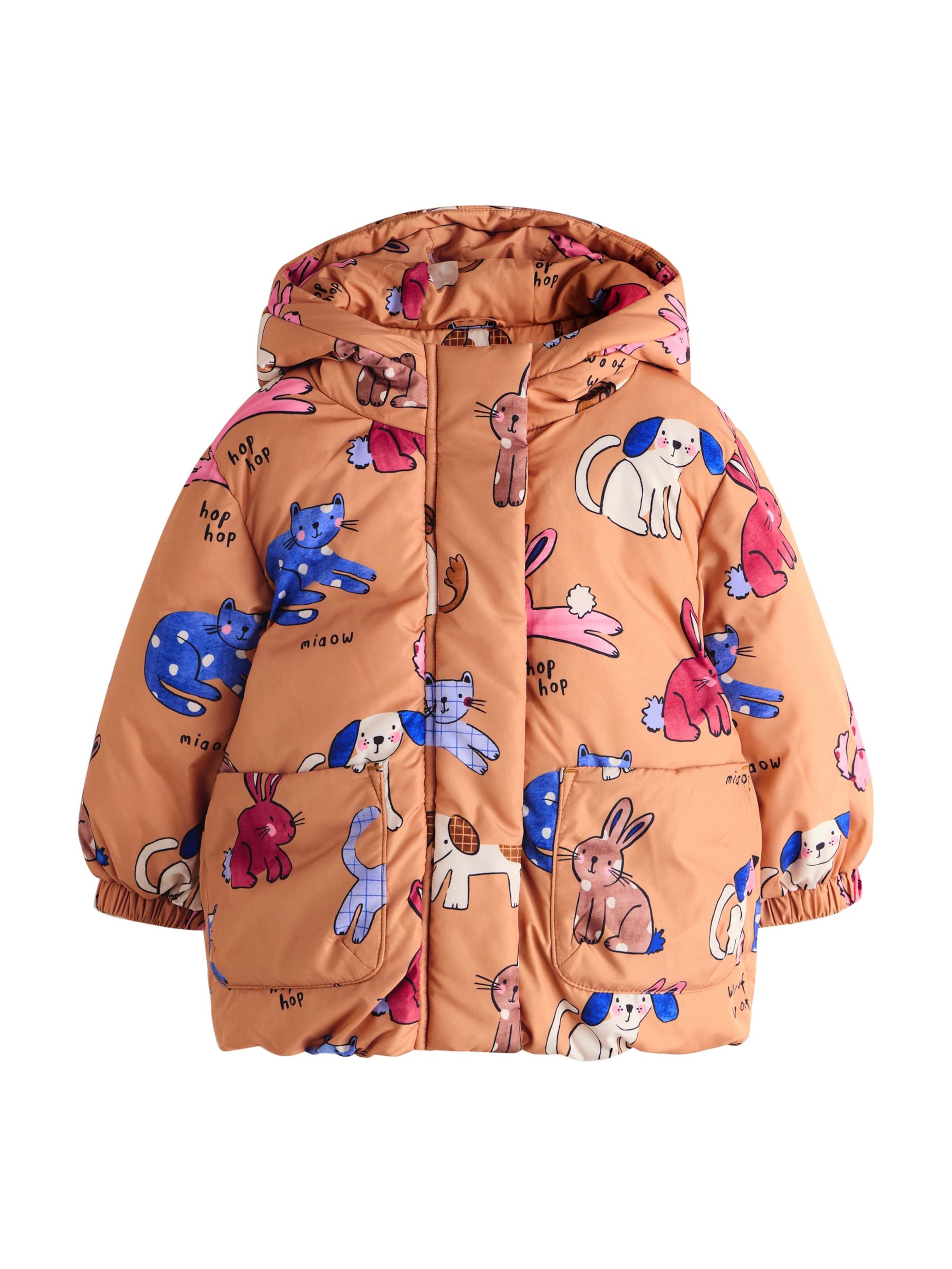 Next Jacke in Braun: Vorderseite