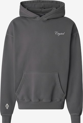 Crystal Paris Sweatshirt 'Laville' in Grey: front