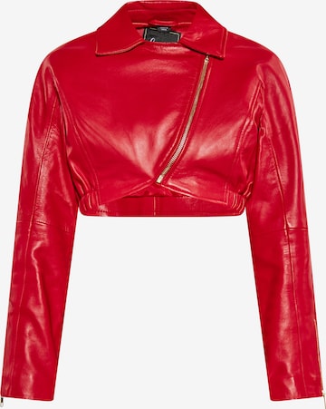 Geacă de primăvară-toamnă de la faina pe roșu: față