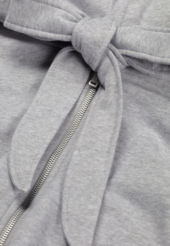 Fabienne Chapot Sweatshirt in Grijs
