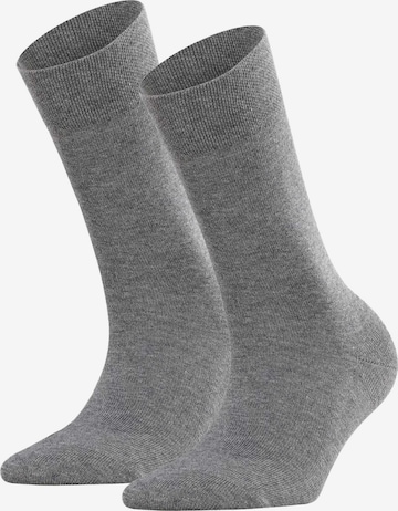 FALKE Socks in Grey: front