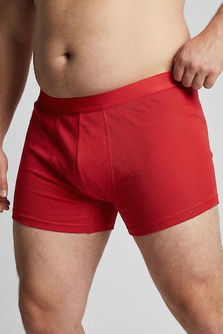 Men Plus Boxershorts in Gemengde kleuren