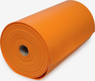 YOGISTAR.COM Mat in Orange: front