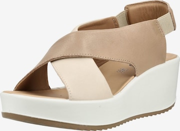 Sandales IGI&CO en marron : devant