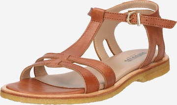 ANGULUS Sandalen met riem in Beige: voorkant