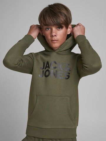 Coupe regular Sweat Jack & Jones Junior en vert