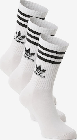ADIDAS ORIGINALS Sukat värissä valkoinen: etupuoli