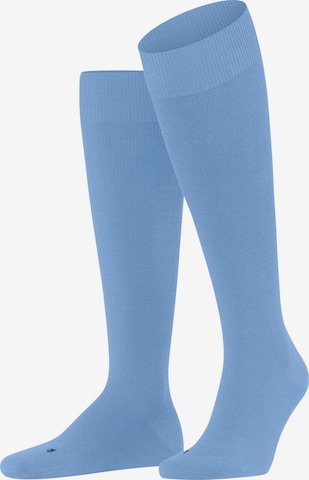 FALKE Kniestrümpfe 'Energizing Wool' in Blau: Vorderseite
