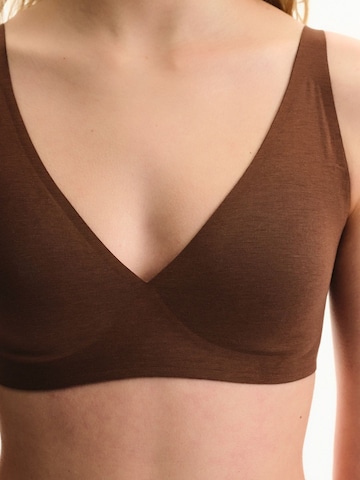 Penti Nedrček 'BHs & Bralettes' | rjava barva