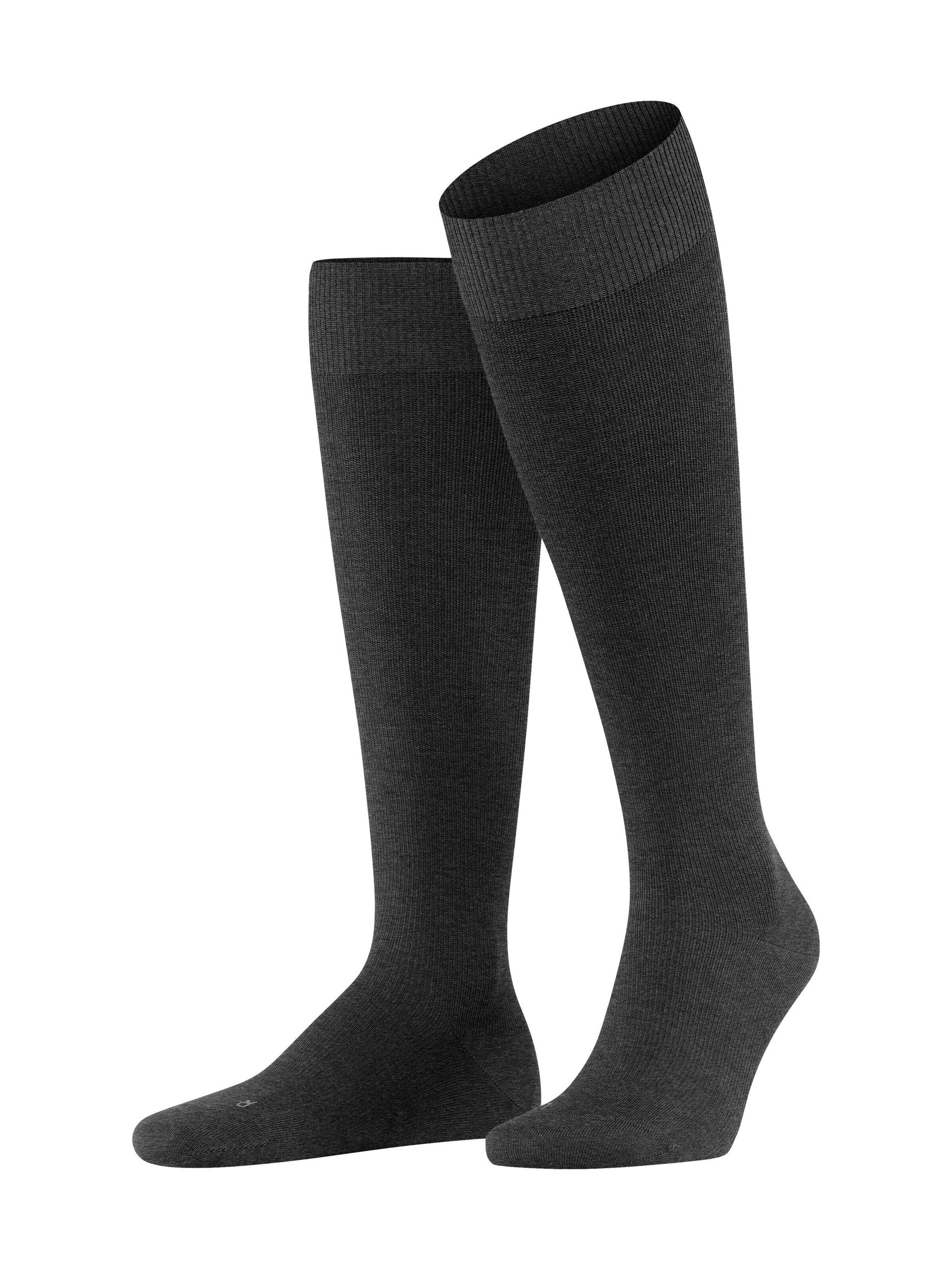 FALKE Kniestrümpfe 'Energizing Wool'‌‌‌‌‌‌‌‌‌ in Grau: Vorderseite