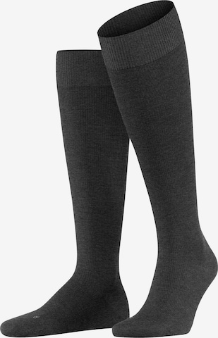 FALKE Kniestrümpfe 'Energizing Wool' in Grau: Vorderseite