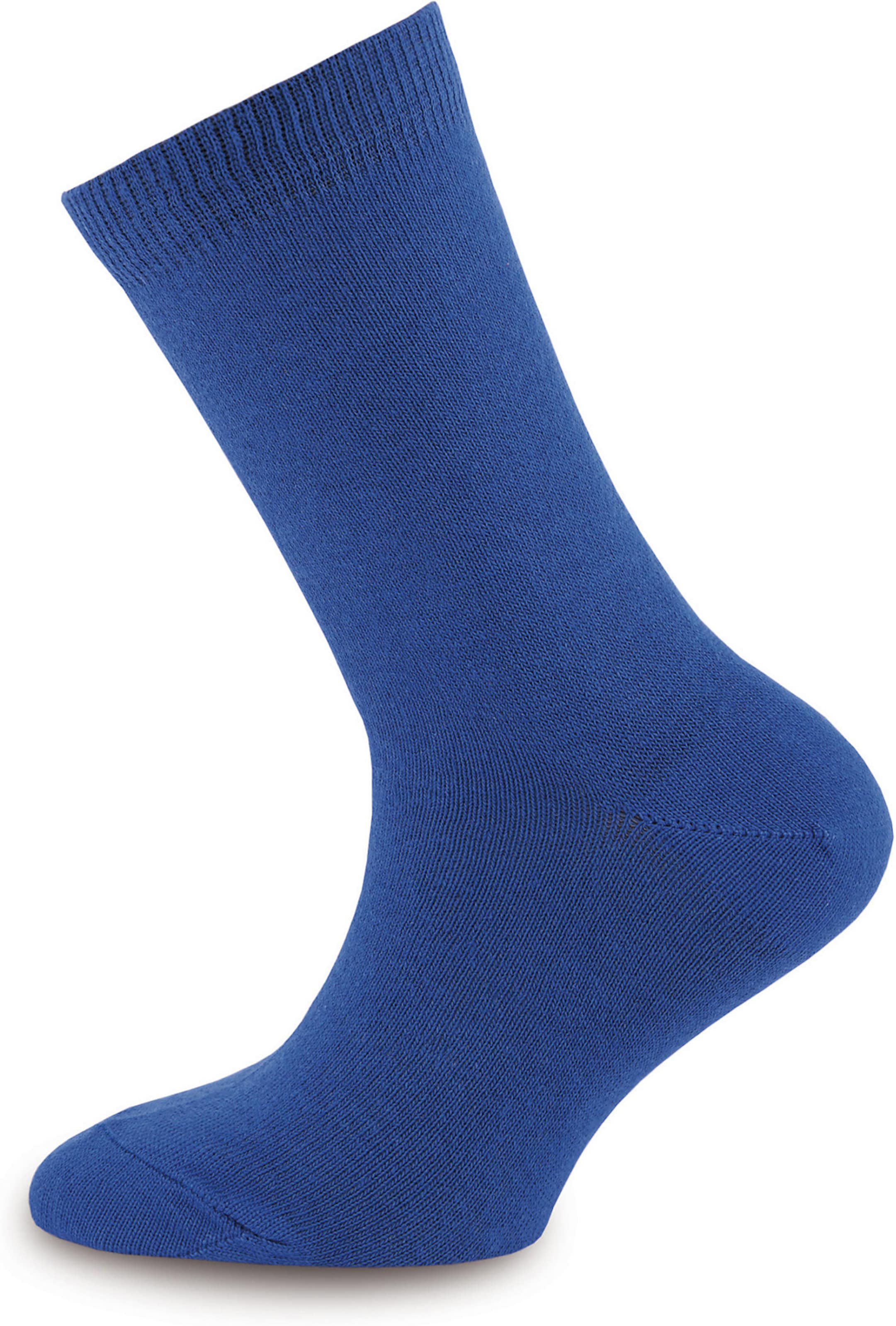 EWERS Regular Socks in Blue