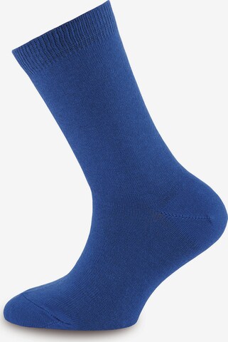 EWERS Regular Socks in Blue