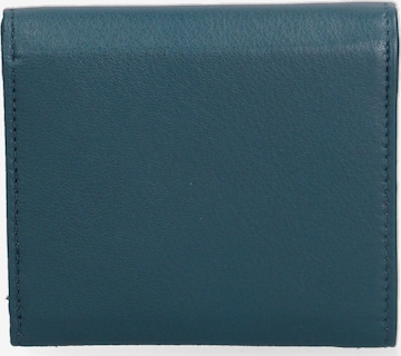 Sergio Valentini Wallet in Green: front