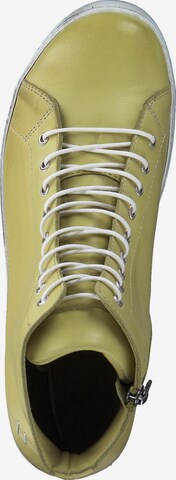 Esgano Sneakers hoog '0341500' in Groen