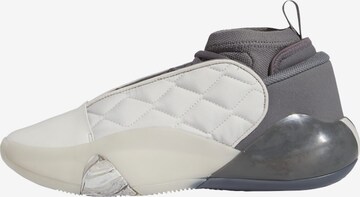 Chaussure de sport 'Harden Vol. 7' ADIDAS PERFORMANCE en gris : devant