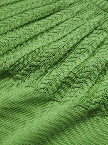 Pull-over 'Stone Chat' Seasalt Cornwall en vert