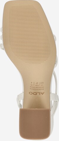 ALDO - Sandalias 'ATLANTICUS' en beige