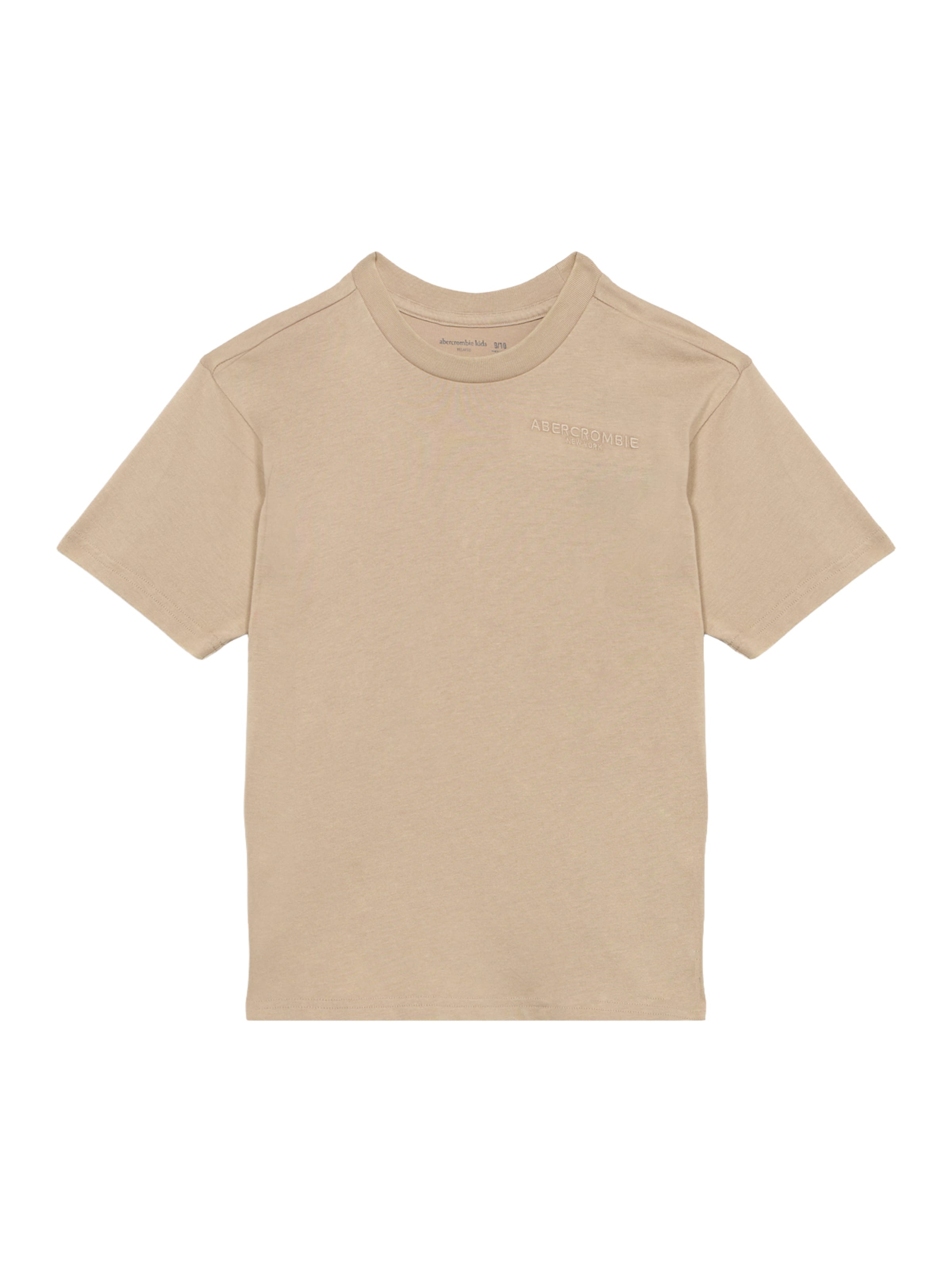 Maglietta di Abercrombie & Fitch in grigio: frontale