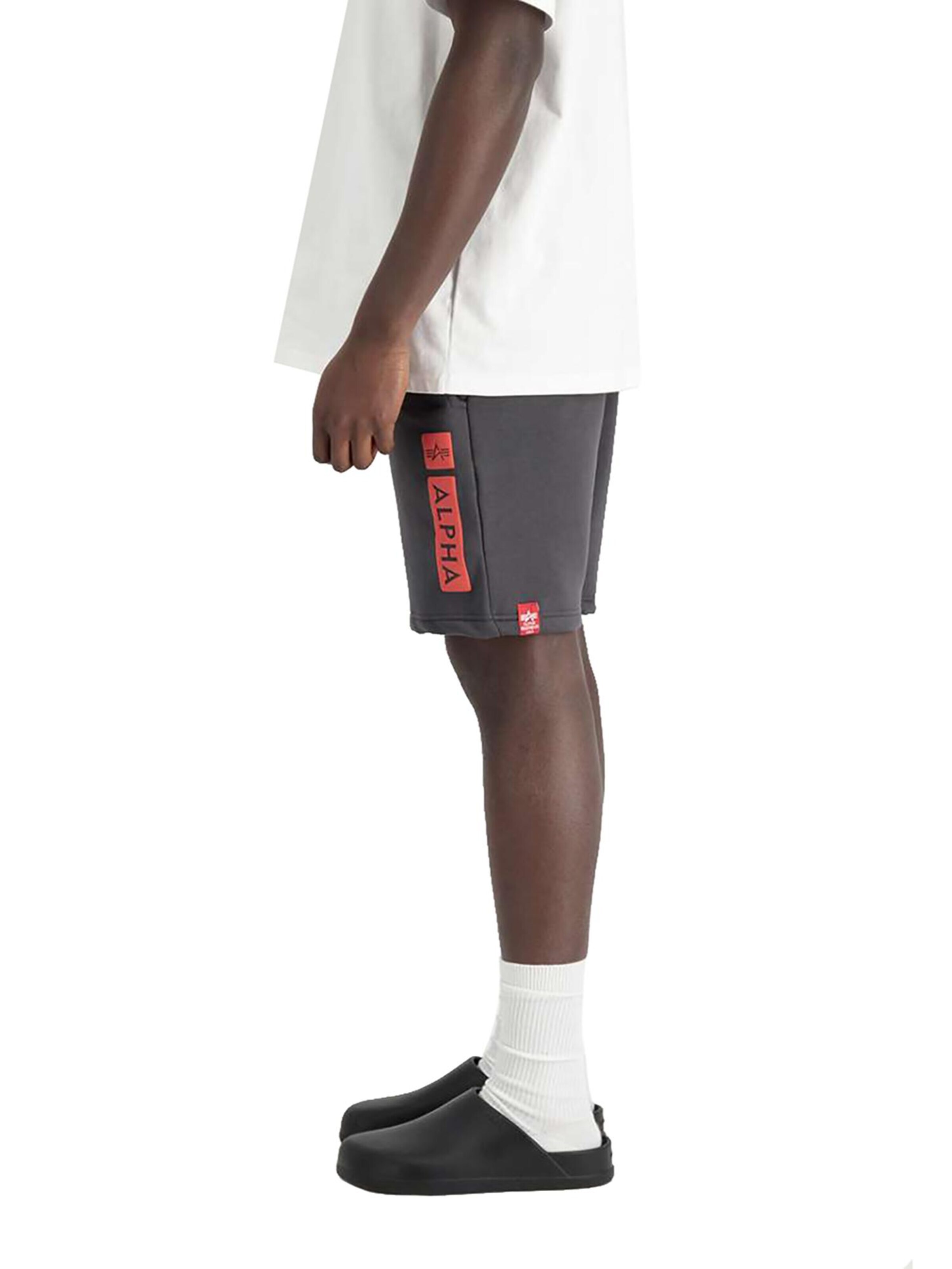 ALPHA INDUSTRIES Regular Pants 'Alpha PP' in Grey