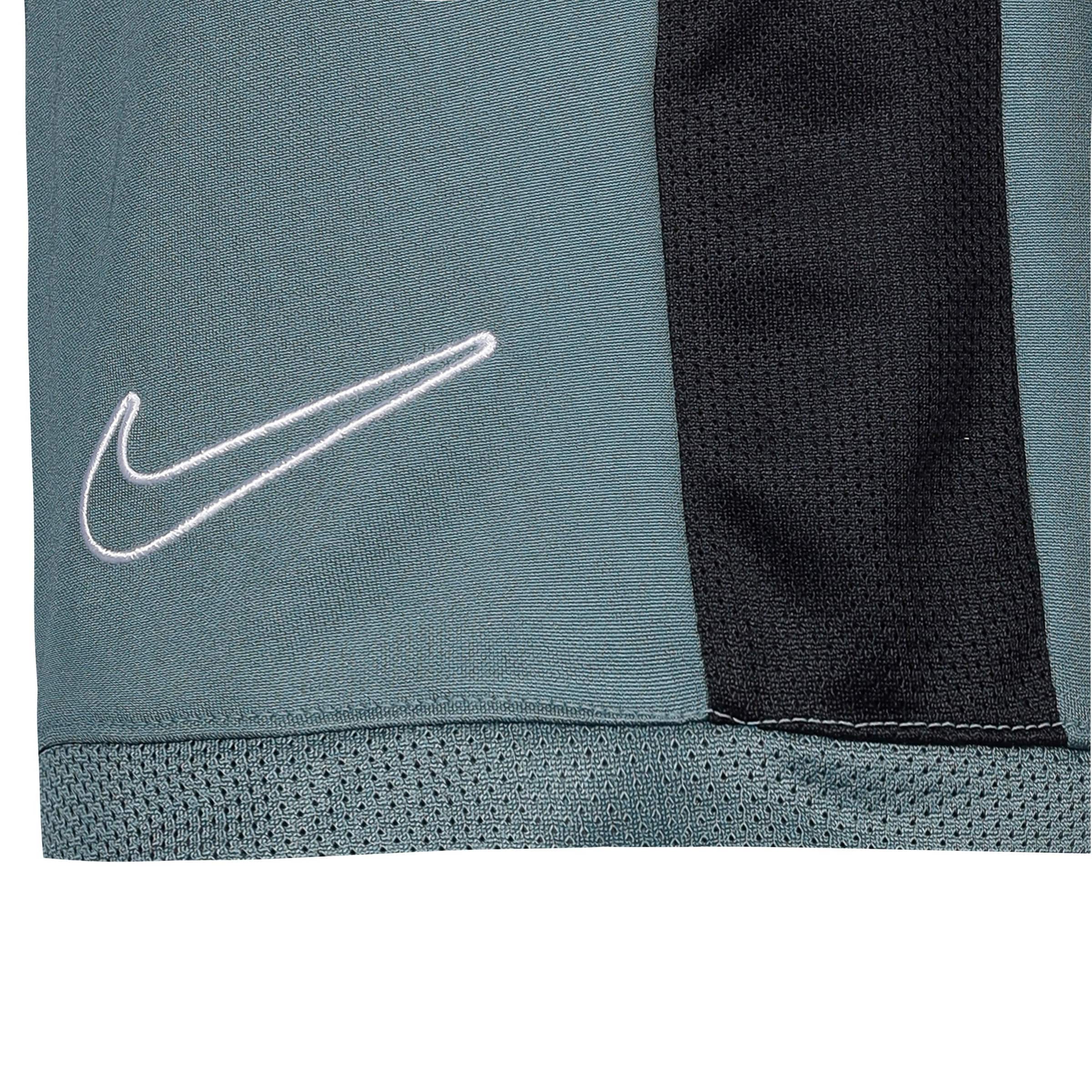 NIKE Regular Sporthose in Grün