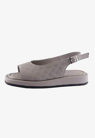 D.MoRo Shoes Sandale 'Shutomis' in Grau