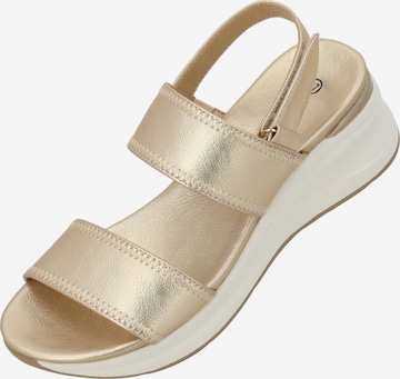 Palado Sandals 'Palado Papifi' in Gold: front