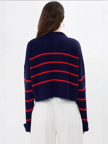 Hiccup Sweter 'Pullover' w kolorze niebieski
