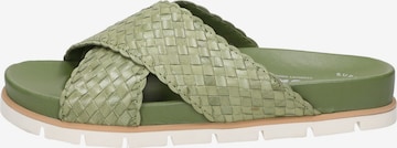 SIOUX Mules ' Libuse-700 ' in Green