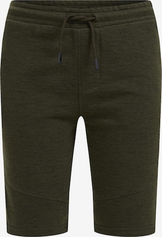 WE Fashion Trousers in Green: front