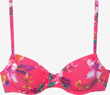 LASCANA Push-up Bikinitop in Pink: predná strana