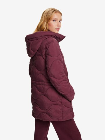 ESPRIT Winter Coat in Purple