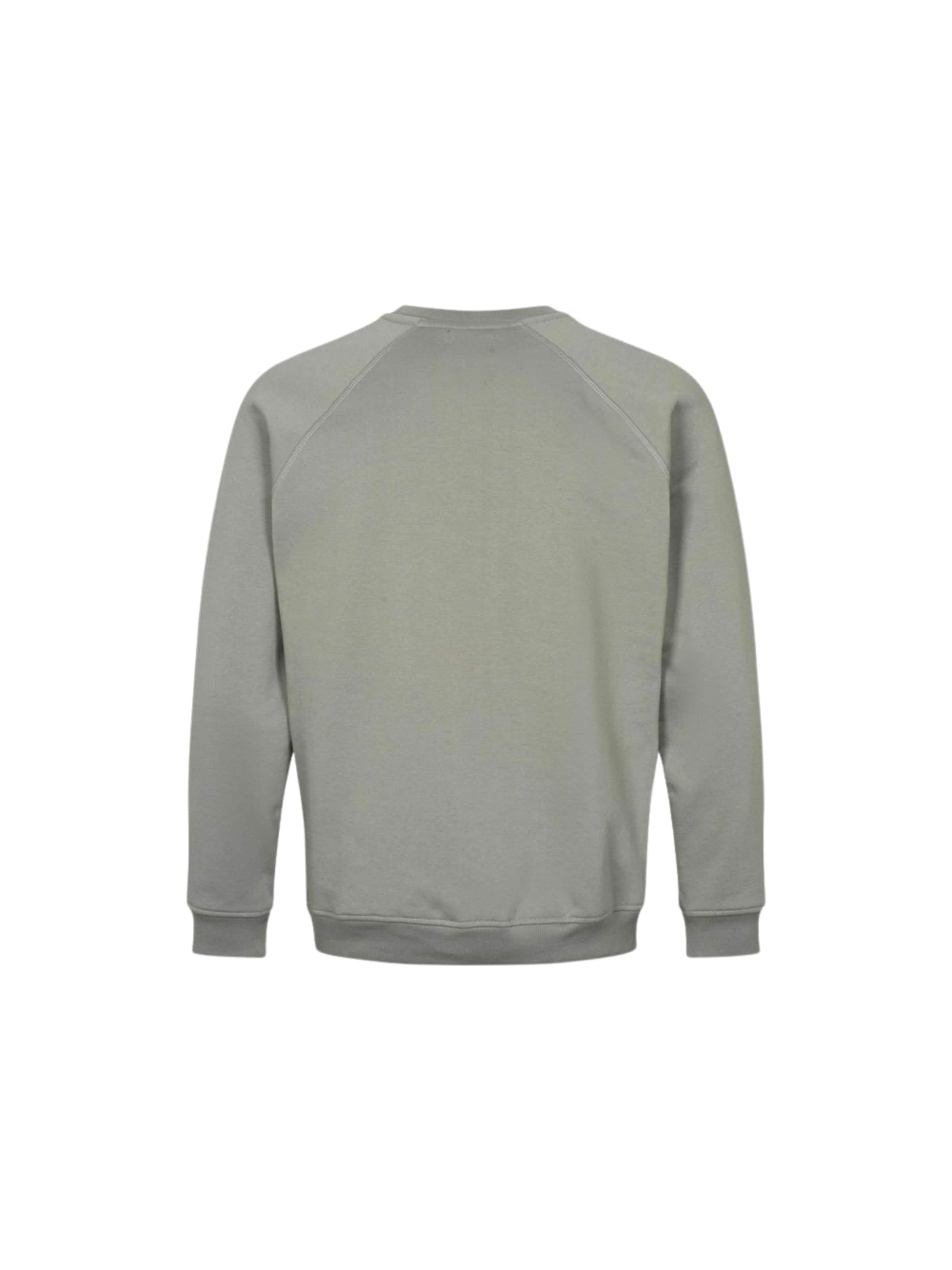 Pull-over ' DOT ' Denim Project en gris