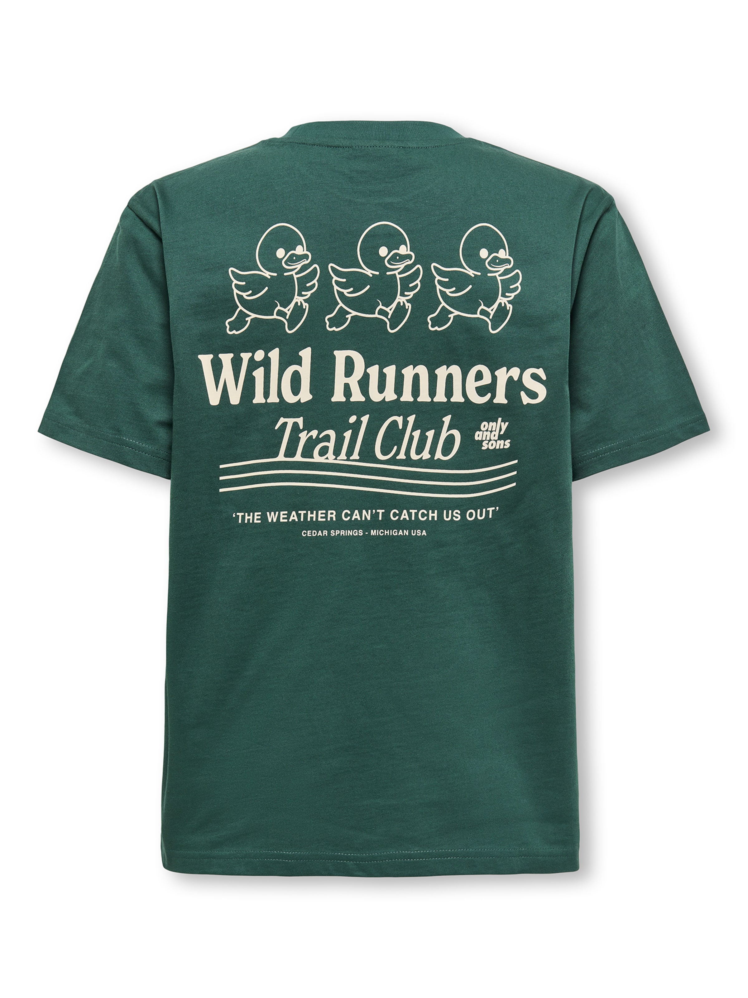 Only & Sons Junior Shirt 'OSJFRED DANIEL' in Green