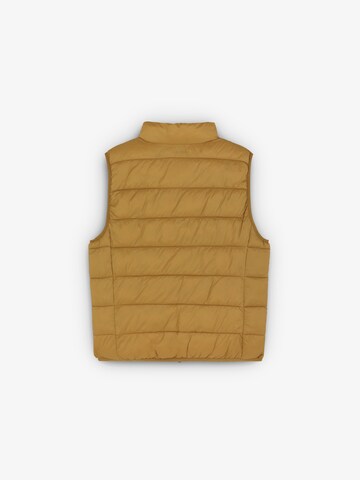Gilet Scalpers en jaune