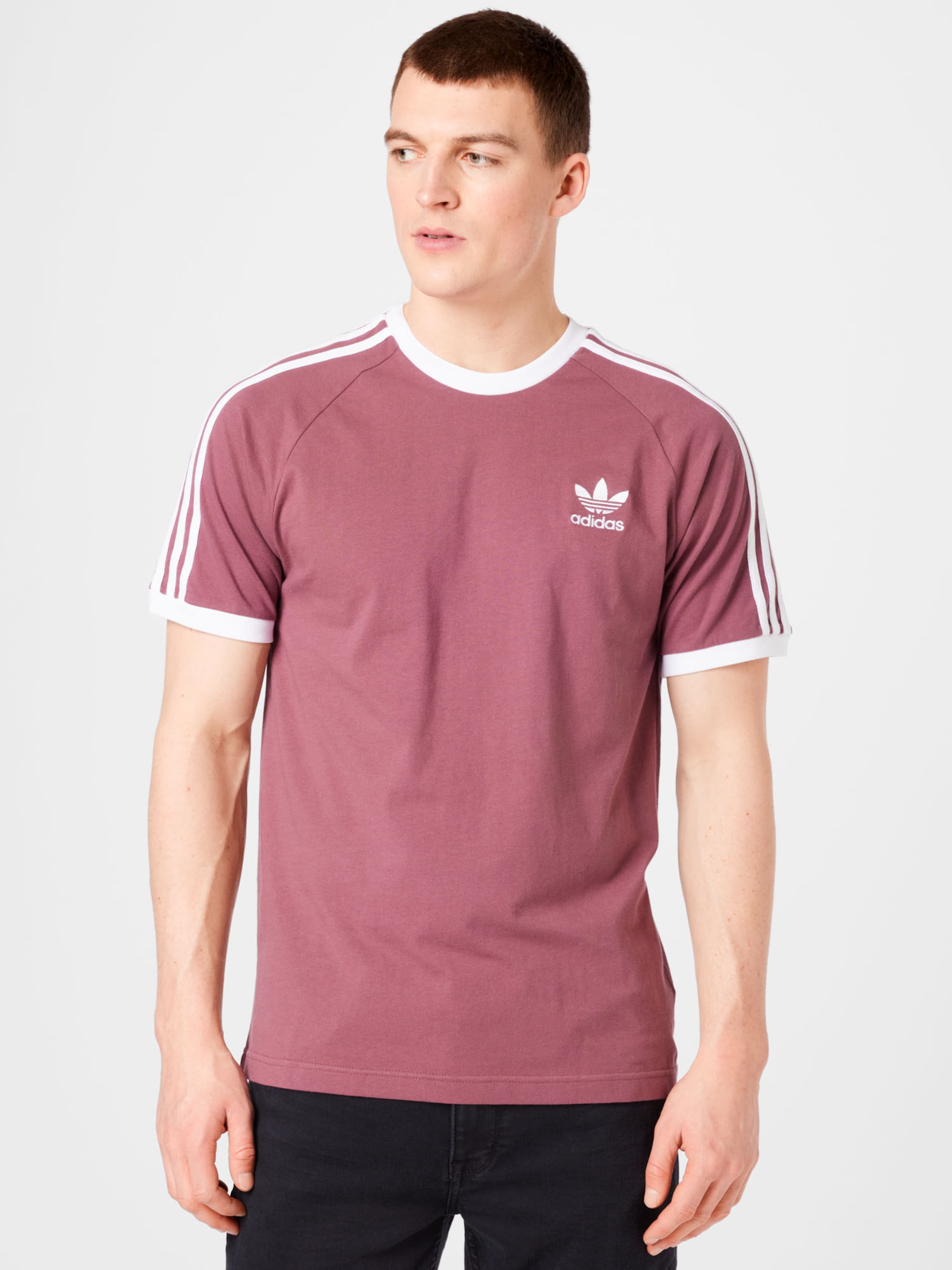 Männer Shirts ADIDAS ORIGINALS T-Shirt in Rostbraun - MV13364