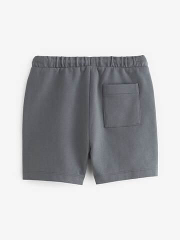 Next Regular Broek in Grijs