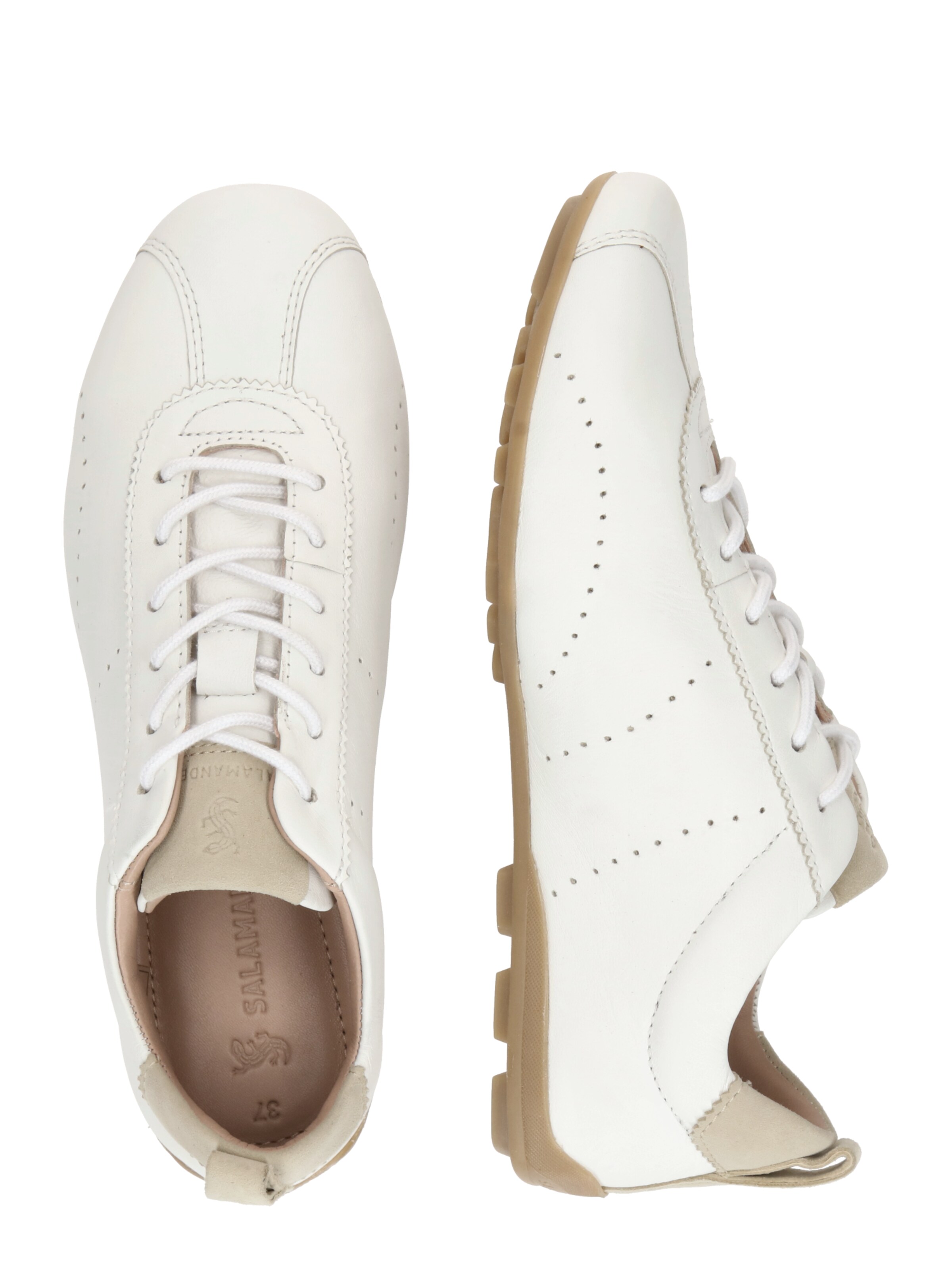 SALAMANDER Sneakers in White